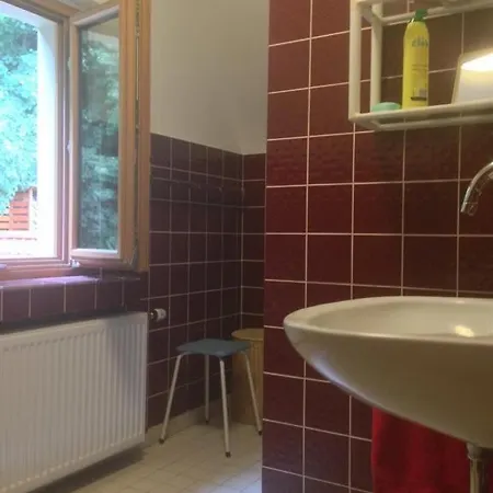 Holiday home Ferienhaus Ginkgo Biloba Gemund