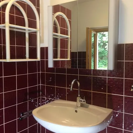 Ferienhaus Ginkgo Biloba Holiday home Gemund